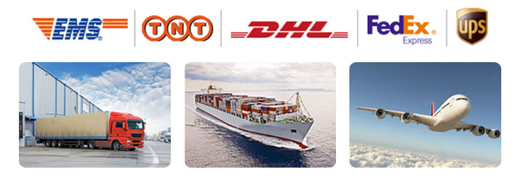 Qc11k-6x2500 Metal Guillotine Shear Guillotine Shearing Machine Qc11k-6x2500 Mașină de forfecare cu ghilotină pentru metal